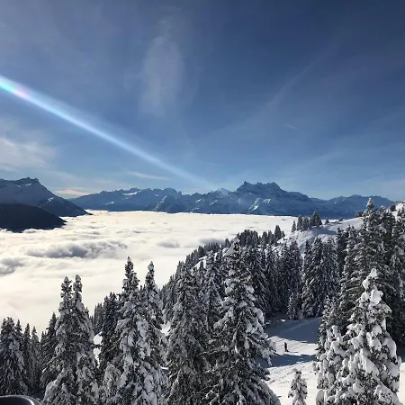 Swiss Mountains Leysin