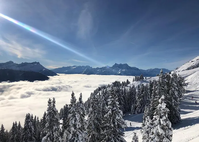 Swiss Mountains לייסין